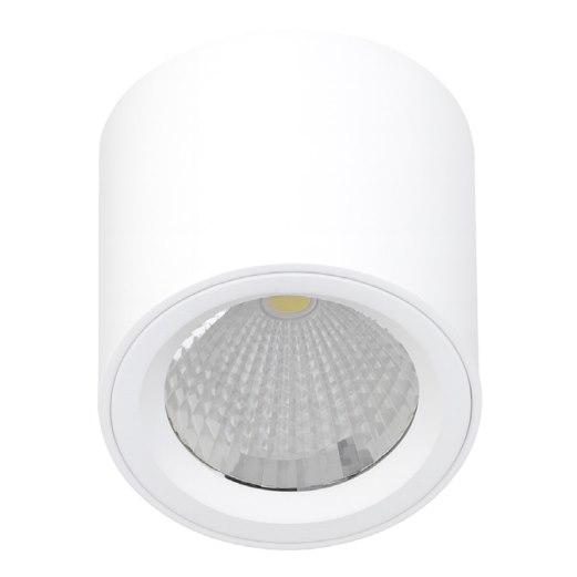 Đèn ốp trần V10CLF-15 15W VinaLed