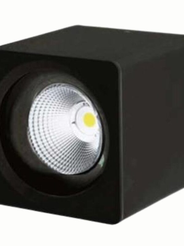 Đèn ốp trần V13CLF-25 25W VinaLed