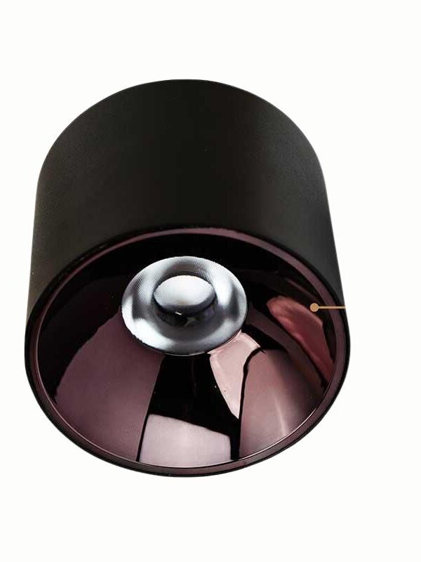 Đèn ốp trần V8CLF-12 12W VinaLed