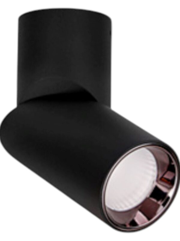 Đèn ốp trần Vinaled V1CLA-12 12W