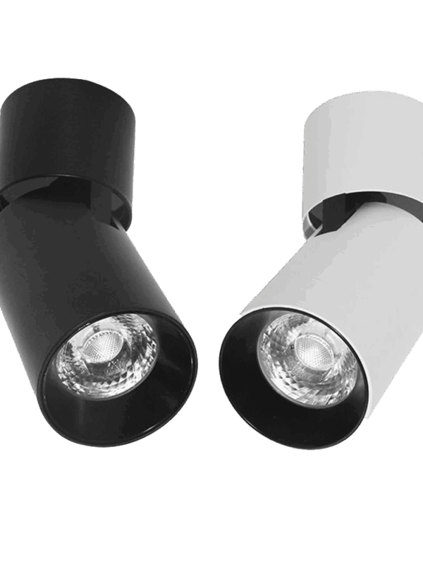 Đèn ốp trần Vinaled V2CLA-12 12W